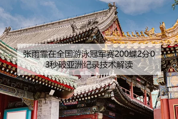 zhang-yu-fei-zai-quan-guo-you-yong-guan-jun-sai-die-fen-miao-po-ya-zhou-ji-lu-ji-shu-jie-du-2-341.jpg