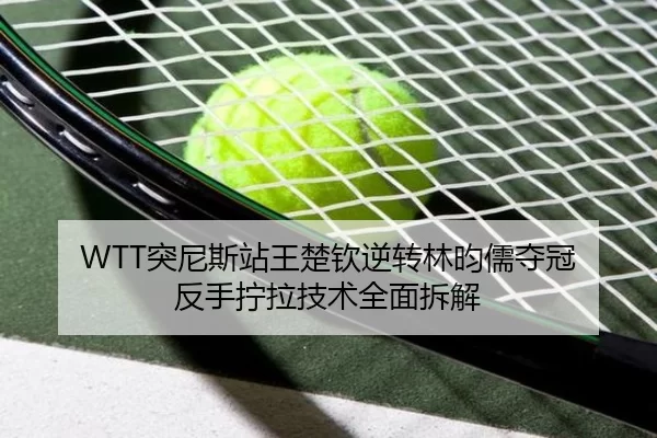 tu-ni-si-zhan-wang-chu-qin-ni-zhuan-lin-yun-ru-duo-guan-fan-shou-ning-la-ji-shu-quan-mian-chai-jie-3-743.jpg