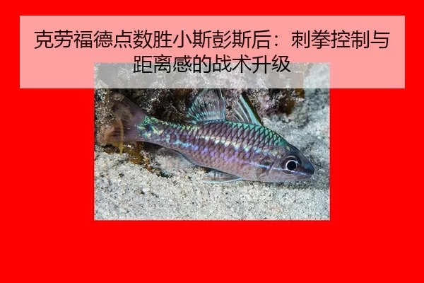 ke-lao-fu-de-dian-shu-sheng-xiao-si-peng-si-hou-ci-quan-kong-zhi-yu-ju-li-gan-de-zhan-shu-sheng-ji-3-907.jpg